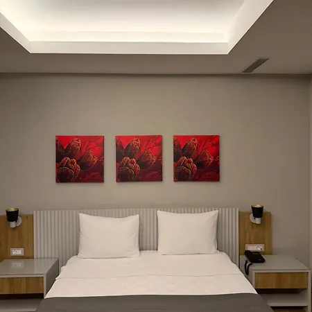 The Alacati Ariel Hotel *